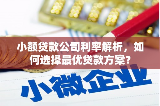 厦门小额贷款公司利率解析，如何选择最优贷款方案？