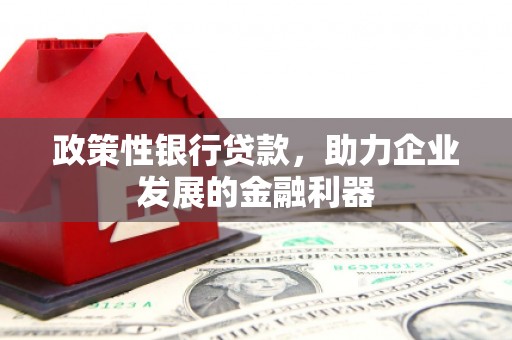 宁波政策性银行贷款，助力企业发展的金融利器